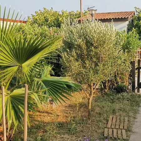 En Bois Dans Le Pavillon * Sigean