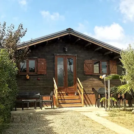 En Bois Dans Le Pavillon *